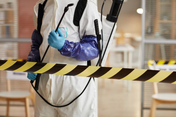 Professional Sewage Cleanup technician working in New Gloucester, ME